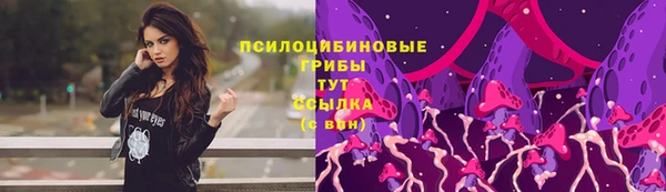 герыч Зерноград