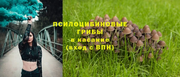 бутират Зеленокумск