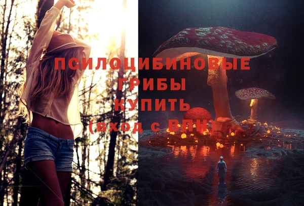 герыч Зерноград
