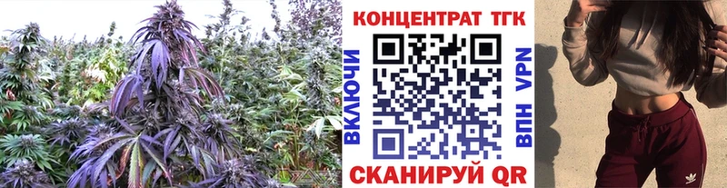 ТГК концентрат Каменногорск