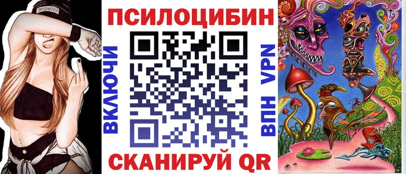Галлюциногенные грибы Psilocybe  Каменногорск 